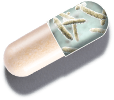 capsule graphic showing 1MD Nutrition Complete Probiotics Platinum ingredient NutraFlora prebiotic fiber