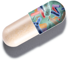 capsule graphic showing 1MD Nutrition Complete Probiotics Platinum ingredient probiotic strains of bacteria