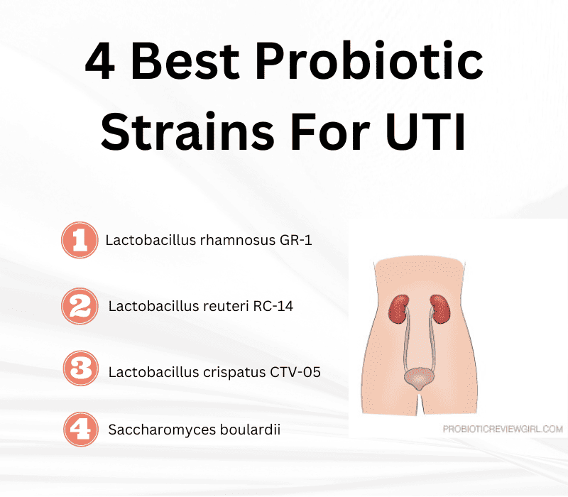 4 Best Probiotic Strains For UTI