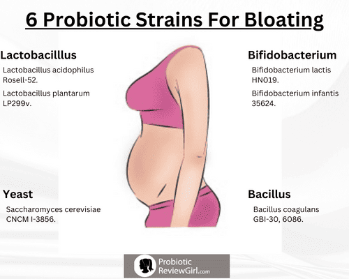 6-probiotic-strains-for-bloating