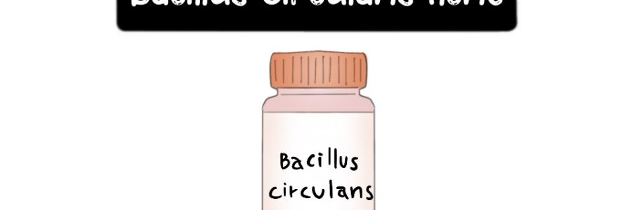 Bacillus-Circulans-Acne-Thumbnail