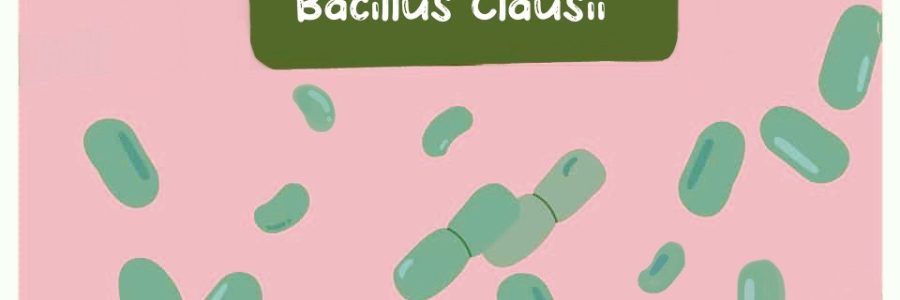 Bacillus-Clausii-Thumbnail.jpg