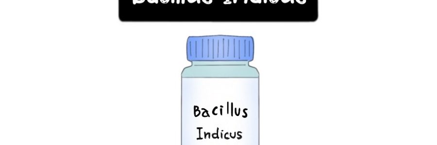 Bacillus-Indicus-Thumbnail