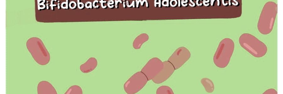 Bifidobacterium-Adolescentis-Thumbnail