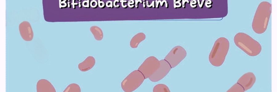 Bifidobacterium-Breve-Thumbnail