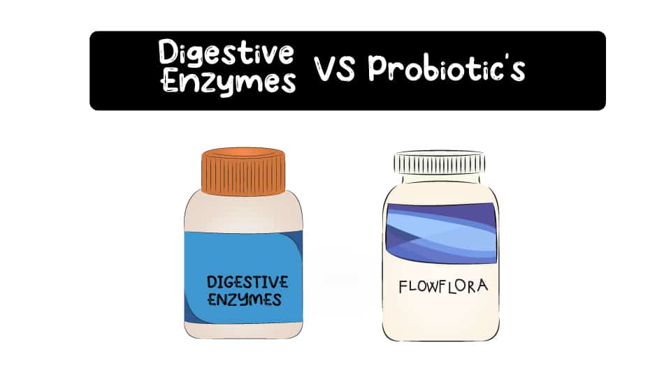 Digestive-Enzymes-and-Probiotics-Thumbnail