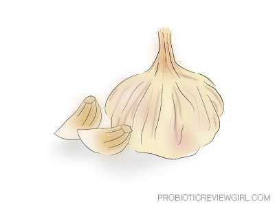 Garlic-Clove-Drawing