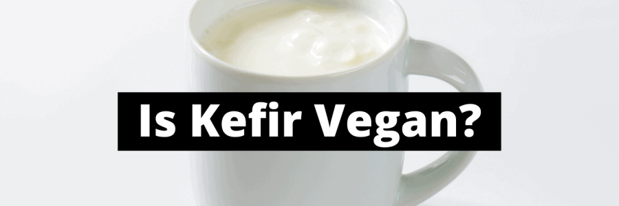 Is-Kefir-Vegan-Thumbnail