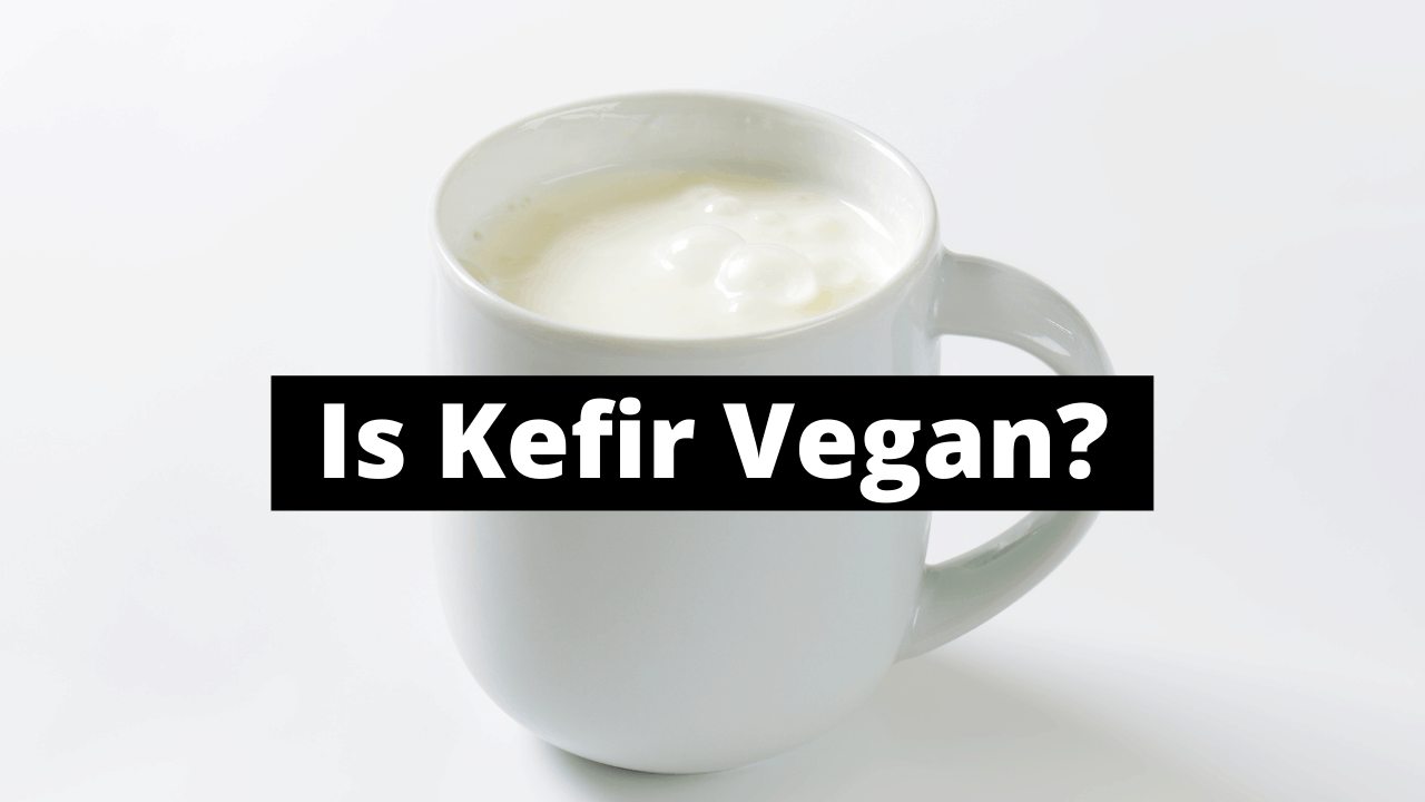 Is-Kefir-Vegan-Thumbnail