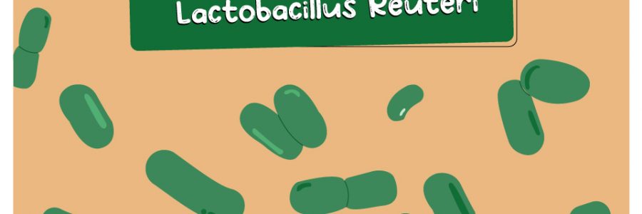 Lactobacillus_Reuteri_Thumbnail