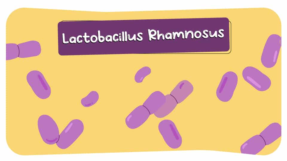 Lactobacillus_Rhamnosus_Thumbnail