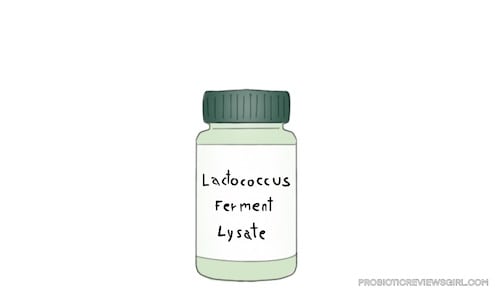 Lactococcus-Ferment-Lysate-Topical