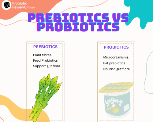 Prebiotics-vs-Probiotics-Differences