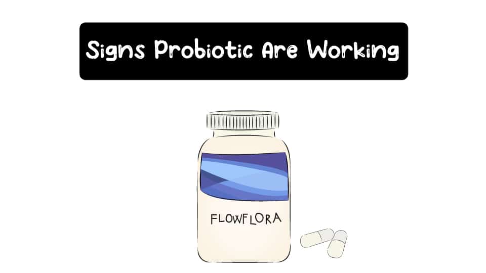 Signs-Probiotics-Are-Working-Thumbnail