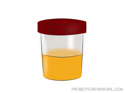 Urine-in-container