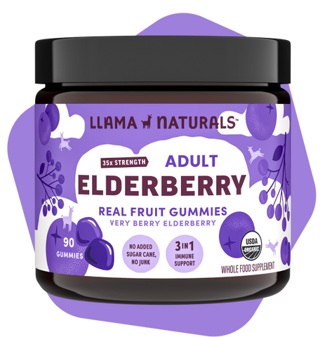 Adults Elderberry Immunity (Organic)