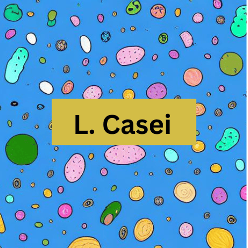 l-casei-bacteria