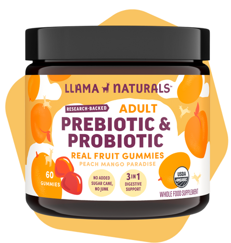 Adults Pre & Probiotic - Peach Mango (Organic)