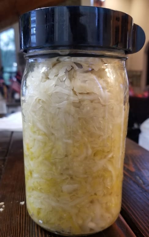 my-jar-of-sauerkraut