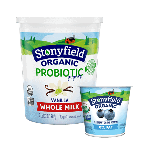 stonyfield-organic-probiotic-yogurt